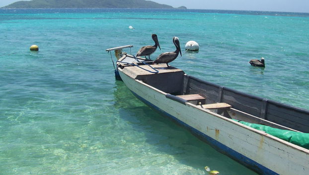 Cayos Cochinos Day Trip - Foto 4