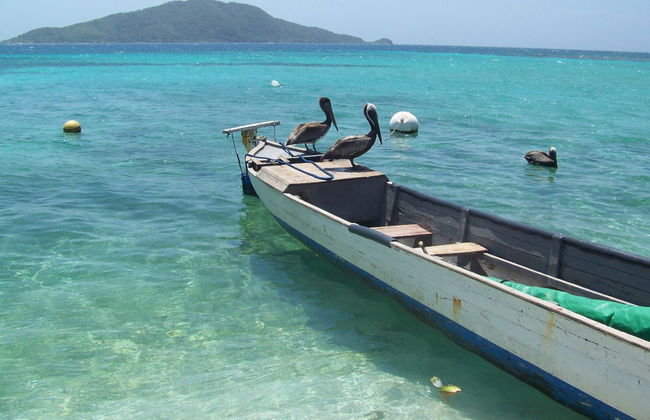 Cayos Cochinos Day Trip - Foto 4