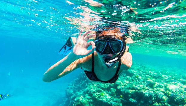 Snorkelling & Dolphin Watching in West Bay - Foto 3