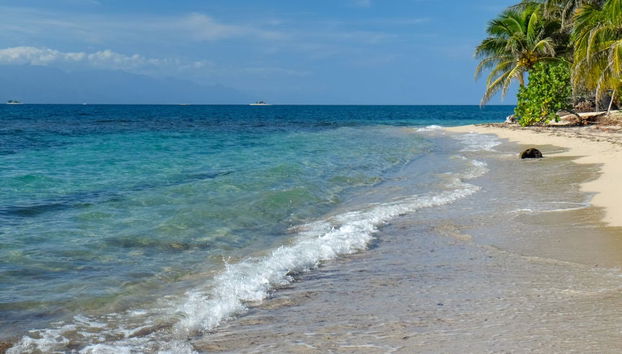 Cayos Cochinos Day Trip - Foto 5