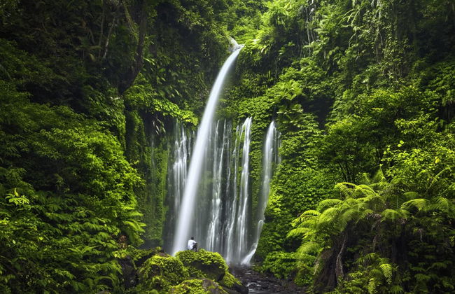 Excursion privée aux cascades Sendang Gile et Tiu Kelep - Photo 2