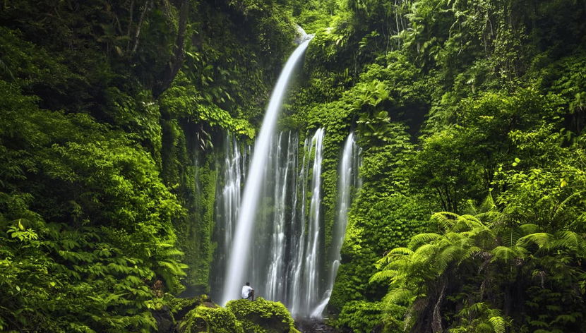 Excursion privée aux cascades Sendang Gile et Tiu Kelep - Photo 2
