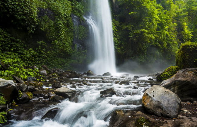 Excursion privée aux cascades Sendang Gile et Tiu Kelep - Photo 1