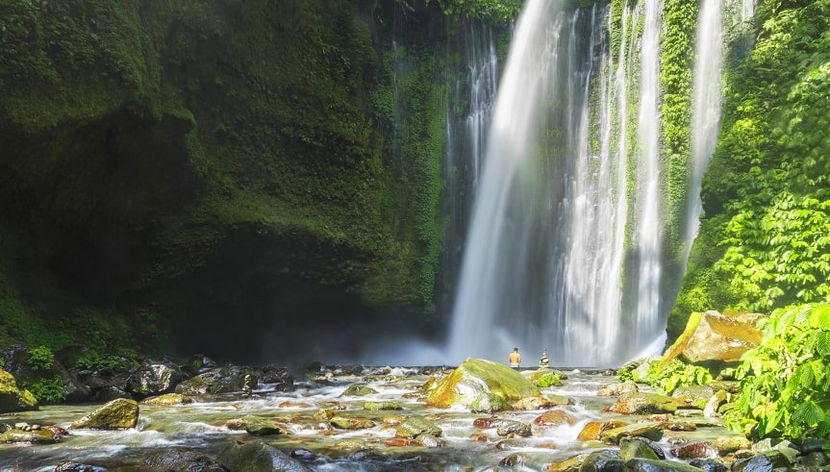 Excursion privée aux cascades Sendang Gile et Tiu Kelep - Photo 3