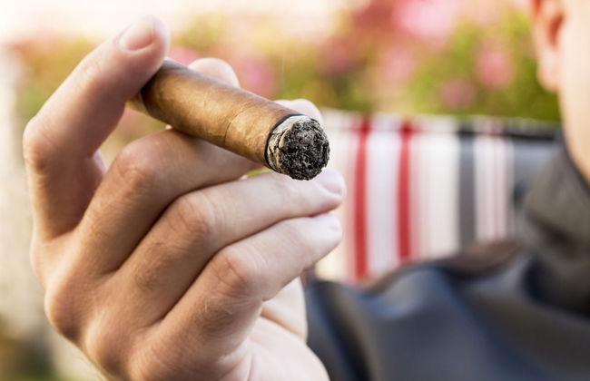 Cuban Cigar Workshop - Photo 6