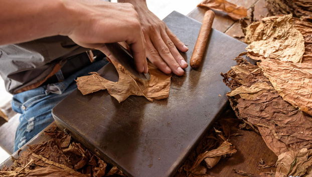 Taller de puros cubanos - Foto 3