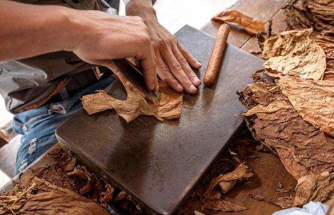 Cuban Cigar Workshop - Photo 3