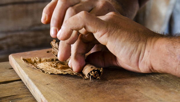 Taller de puros cubanos - Foto 5