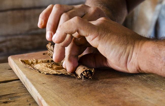 Cuban Cigar Workshop - Photo 5