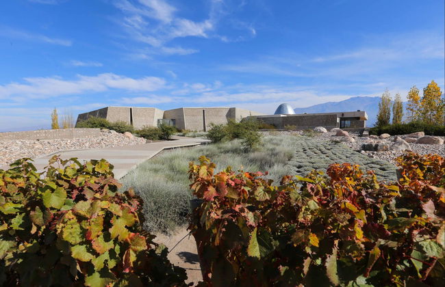 Southern Uco Valley Wine Tour - Photo 5