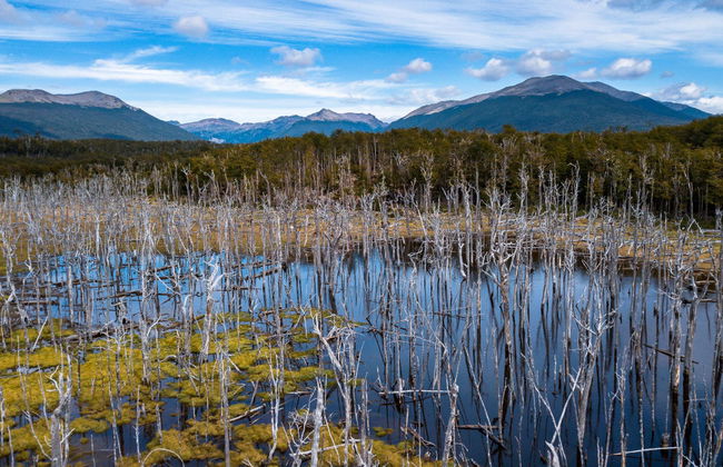Excursión a los lagos Escondido y Fagnano - Foto 4