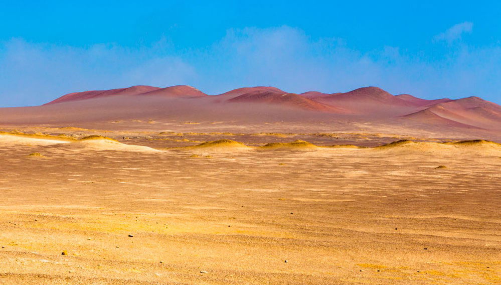 Paseo en buggy por el sur del desierto de Paracas - Foto 1