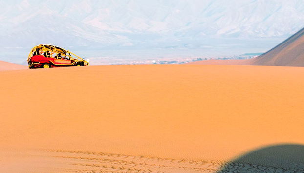 Paseo en buggy por el sur del desierto de Paracas - Foto 4