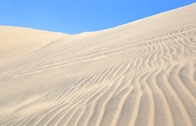 Tour en quad por el desierto de Ica - Foto 6