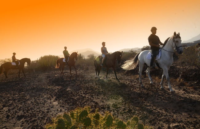 Balade à cheval au sud de Tenerife - Photo 2