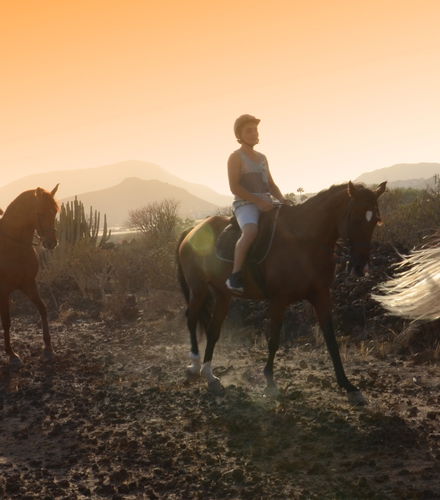 Foto de Paseo a caballo por el sur de Tenerife