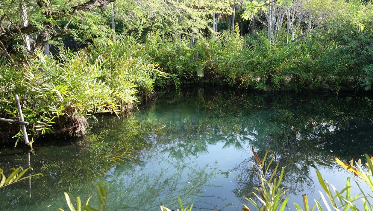Excursión a las termas El Volcán - Foto 1