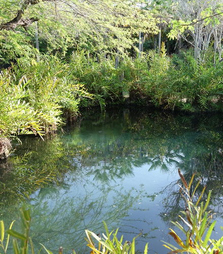 Foto de Excursión a las termas El Volcán