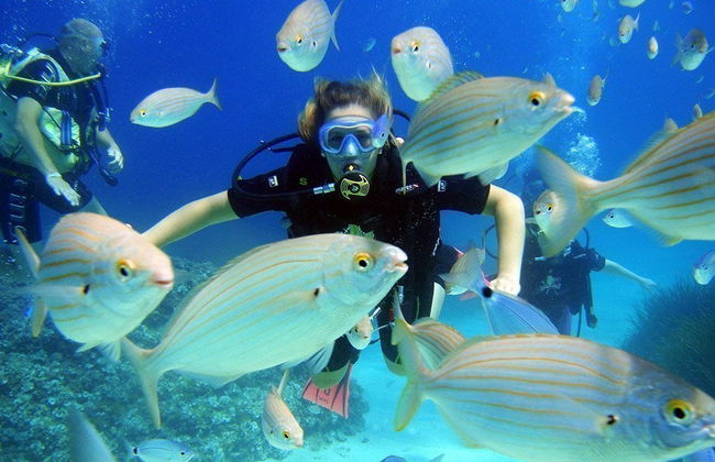 Mallorca Beginner's Diving Lesson - Photo 1