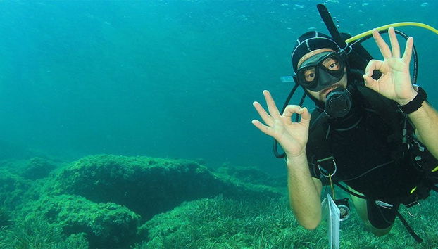 Mallorca Beginner's Diving Lesson - Photo 4
