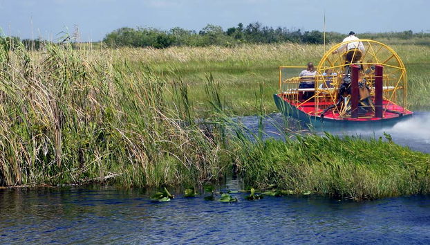 Escursione alle Everglades - Foto 4