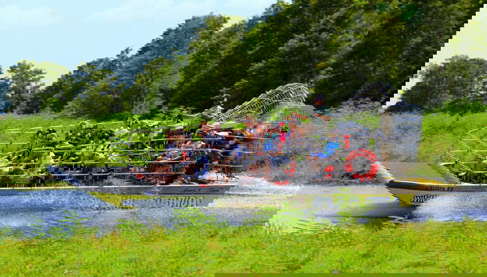 Escursione alle Everglades - Foto 1