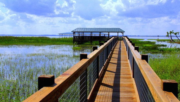 Escursione alle Everglades - Foto 2