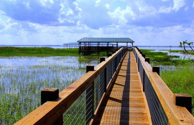 Escursione alle Everglades - Foto 2