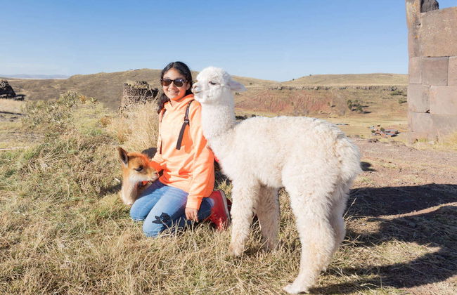 Excursión a Sillustani - Foto 7