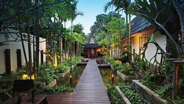 Traditional Thai Massage in Chiang Mai - Photo 3