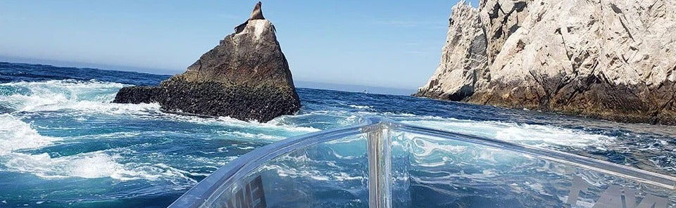 Los Cabos Crystal-Clear Boat Tour - Foto 1