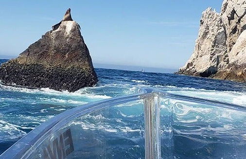 Paseo en barco transparente por Los Cabos - Foto 8