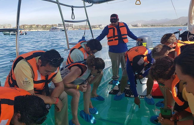 Paseo en barco transparente por Los Cabos - Foto 4