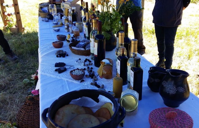 Tour de viñedos y bodegas por el valle de Itata - Foto 1