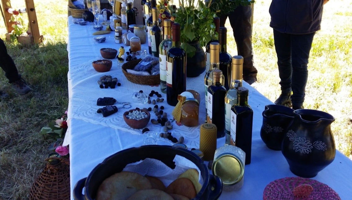 Tour de viñedos y bodegas por el valle de Itata - Foto 1