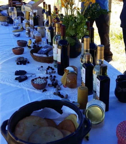 Foto de Tour de viñedos y bodegas por el valle de Itata