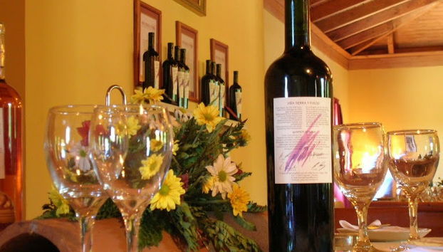 Tour de viñedos y bodegas por el valle de Itata - Foto 5