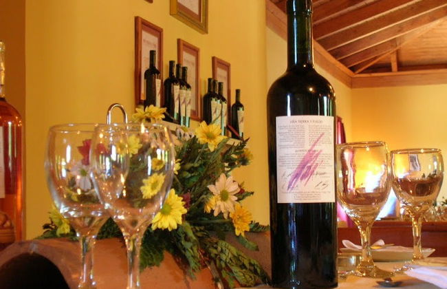 Tour de viñedos y bodegas por el valle de Itata - Foto 5