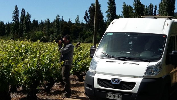 Tour de viñedos y bodegas por el valle de Itata - Foto 2