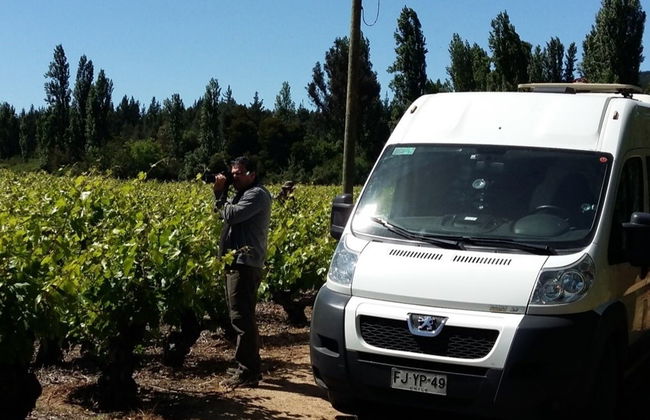 Tour de viñedos y bodegas por el valle de Itata - Foto 2