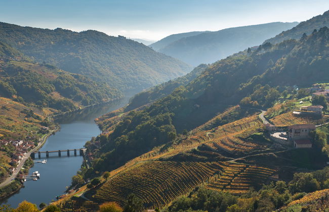 Visita à adega Vía Romana - Foto 6