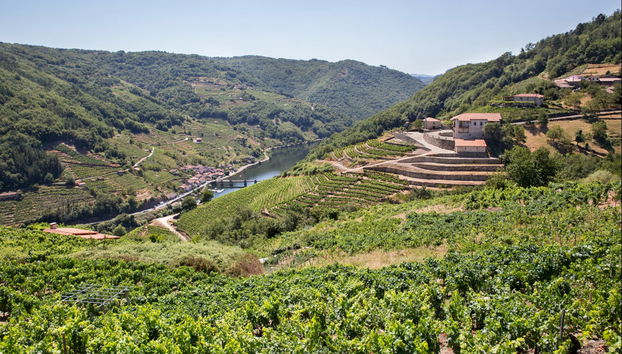 Visita a la bodega Vía Romana - Photo 3