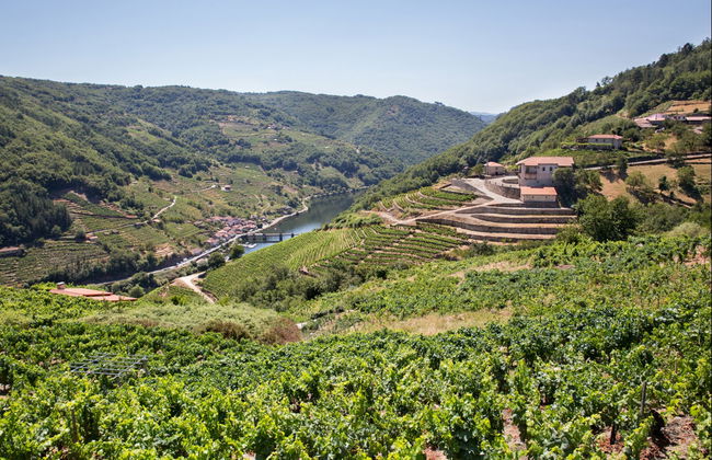 Visita a la bodega Vía Romana - Foto 3