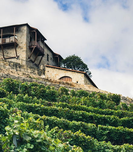 Foto - Visita à adega Vía Romana