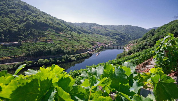 Visita a la bodega Vía Romana - Photo 5