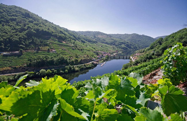 Visita a la bodega Vía Romana - Foto 5