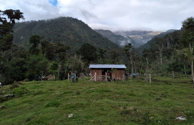 Trekking di 5 giorni sul Nevado del Huila con arrivo a Belalcázar - Foto 7