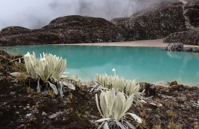 Trekking di 5 giorni sul Nevado del Huila con arrivo a Belalcázar - Foto 6