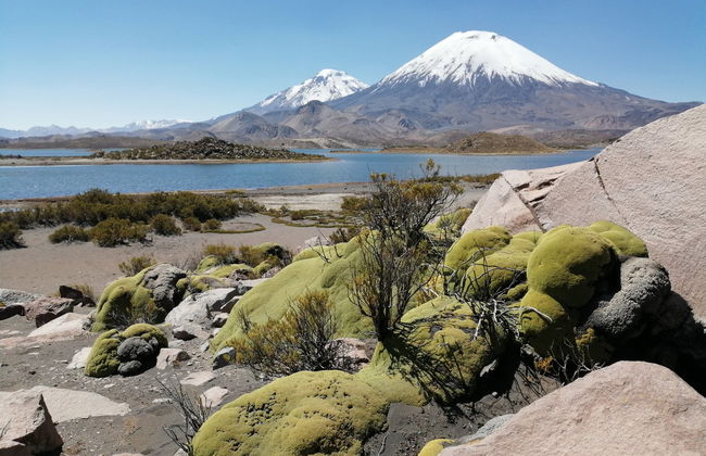 Tour de 6 días por la región comunitaria Aymara - Foto 2