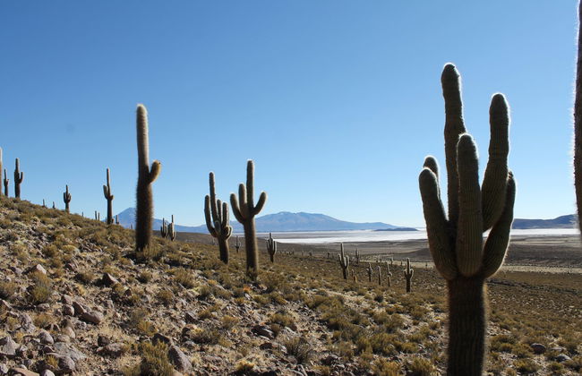 Tour de 6 días por la región comunitaria Aymara - Foto 7
